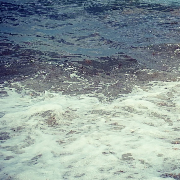 Meet your Posher, Carla - Picture 1 of 1